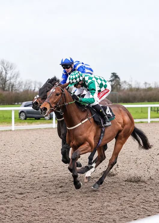 Forever Noah (GB), Kindred Spirits Racing Club horse in training with Joey Ramsden